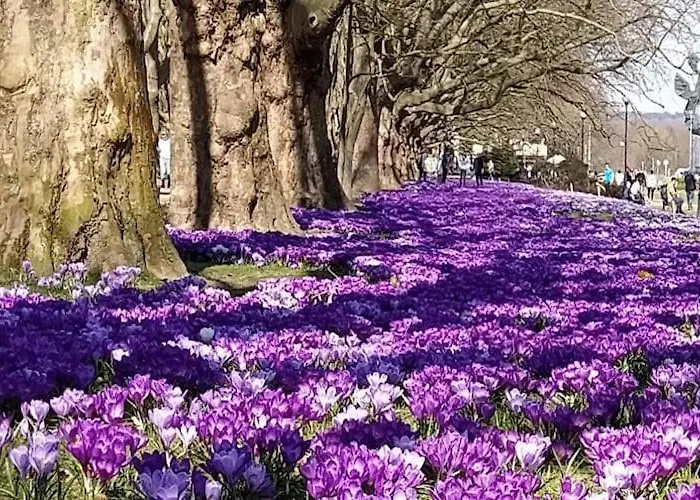 In Near Puszcza Bukowa 別荘